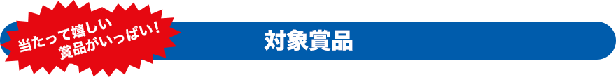 当たって嬉しい賞品がいっぱい! 対象賞品
